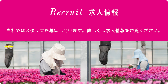 Recruit 求人情報