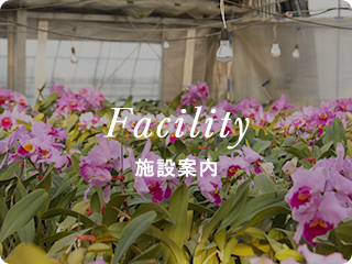 Facility 施設案内